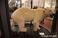 VBS_0955 - Riapre il Museo di Scienze Naturali dopo dieci anni di chiusura
